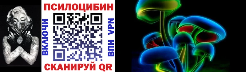 omg как зайти  Жуковский  Галлюциногенные грибы мицелий 